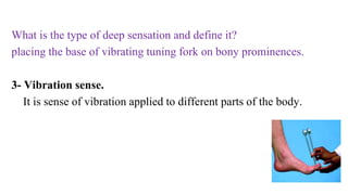 What is the type of deep sensation and define it?
placing the base of vibrating tuning fork on bony prominences.
3- Vibration sense.
It is sense of vibration applied to different parts of the body.
 