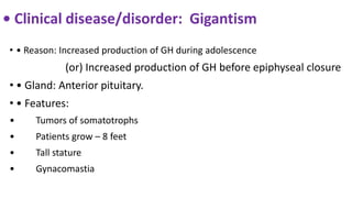 • Clinical disease/disorder: Gigantism
• • Reason: Increased production of GH during adolescence
(or) Increased production of GH before epiphyseal closure
• • Gland: Anterior pituitary.
• • Features:
• Tumors of somatotrophs
• Patients grow – 8 feet
• Tall stature
• Gynacomastia
 