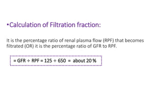 •Calculation of Filtration fraction:
It is the percentage ratio of renal plasma flow (RPF) that becomes
filtrated (OR) it is the percentage ratio of GFR to RPF.
= GFR ÷ RPF = 125 ÷ 650 = about 20 %
 