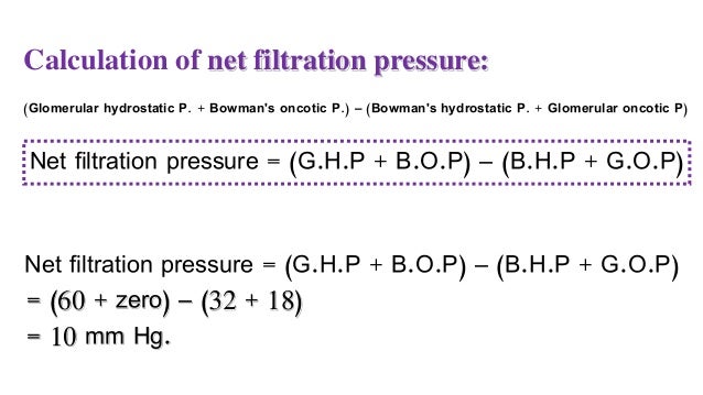 Physiology _ practical _ Diseases and general review