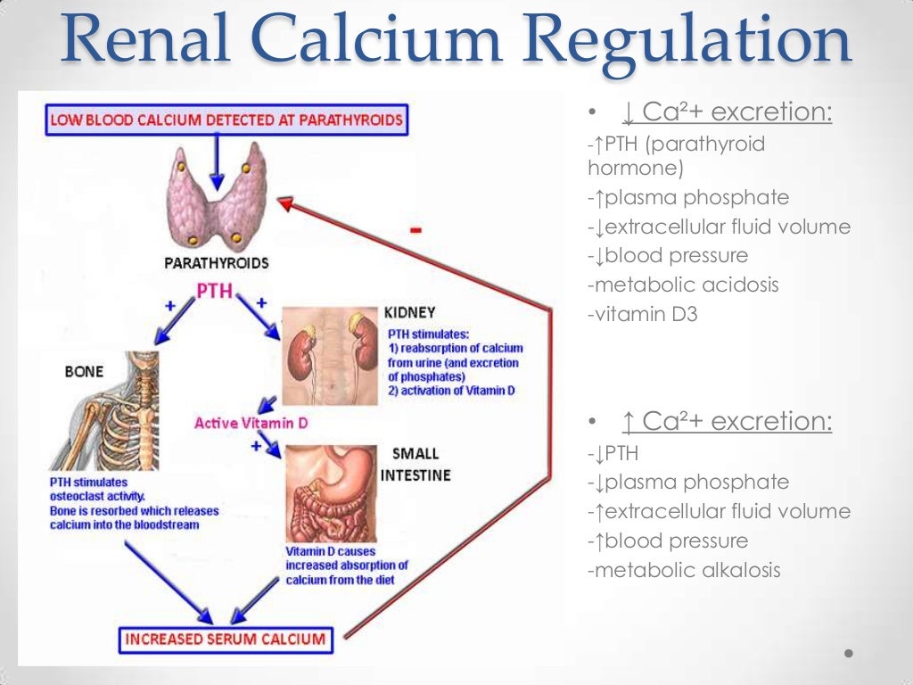 Kidney Regulation and Methods