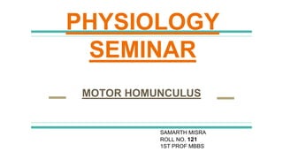 Motor Humonclus MBBS level motor homunculus | PPTX