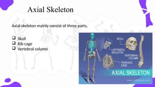 physiology skeletal system introduction fuction | PPTX