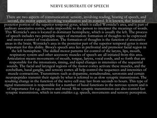 There are two aspects of communication: sensory, involving reading, hearing of speech, and
second, the motor aspect, involving vocalization and its control. It is known, that lesion of
posterior portion of the superior temporal gyrus, which is called Wernicke's area, and is part of
auditory associative cortex, make impossible to the person to interpret the meanings of words.
This Wernicke's area is located in dominant hemisphere, which is usually the left. The process
of speech includes two principle stages of mentation: formation of thoughts to be expressed
and motor control of vocalization. The formation of thoughts is the function of associative
areas in the brain. Wernicke's area in the posterior part of the superior temporal gyrus is most
important for this ability. Broca's speech area lies in prefrontal and premotor facial region in
the left hemisphere. The skilled motor patterns for control of the larynx, lips, mouth,
respiratory system and other accessory muscles of speech are all initiated from this area.
Articulation means movements of mouth, tongue, larynx, vocal cords, and so forth that are
responsible for the intonations, timing, and rapid changes in intensities of the sequential
sounds. The facial and laryngeal regions of the motor cortex activate these muscles, and the
cerebellum, basal ganglia, and sensory cortex all help control the sequences and intensities of
muscle contractions. Transmitters such as dopamine, noradrenaline, serotonin and certain
neuropeptides transmit their signals by what is referred to as slow synaptic transmission. The
resulting change in the function of the nerve cell may last from seconds to hours. This type of
signal transmission is responsible for a number of basal functions in the nervous system and is
of importance for e.g. alertness and mood. Slow synaptic transmission can also control fast
synaptic transmission, which in turn enables e.g. speech, movements and sensory perception.
NERVE SUBSTRATE OF SPEECH
 