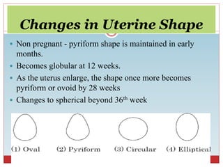 Physiolosical changes during pregnancy | PPTX