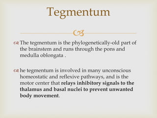 
 The tegmentum is the phylogenetically-old part of
the brainstem and runs through the pons and
medulla oblongata .
 he tegmentum is involved in many unconscious
homeostatic and reflexive pathways, and is the
motor center that relays inhibitory signals to the
thalamus and basal nuclei to prevent unwanted
body movement.
Tegmentum
 