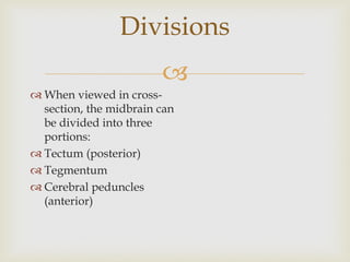 
 When viewed in cross-
section, the midbrain can
be divided into three
portions:
 Tectum (posterior)
 Tegmentum
 Cerebral peduncles
(anterior)
Divisions
 