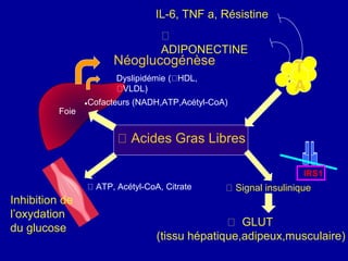 Foie
Acides Gras Libres
●Cofacteurs (NADH,ATP,Acétyl-CoA)
Néoglucogénèse
Inhibition de
l’oxydation
du glucose
IRS1
Signal insulinique
GLUT
(tissu hépatique,adipeux,musculaire)
Dyslipidémie ( HDL,
VLDL)
T
A
ATP, Acétyl-CoA, Citrate
ADIPONECTINE
IL-6, TNF a, Résistine
 