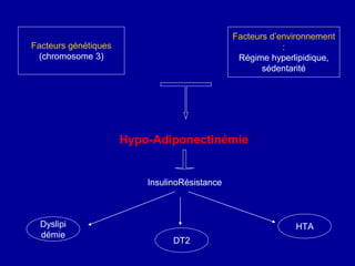 Facteurs génétiques
(chromosome 3)
Facteurs d’environnement
:
Régime hyperlipidique,
sédentarité
Hypo-Adiponectinémie
InsulinoRésistance
Dyslipi
démie
HTA
DT2
 