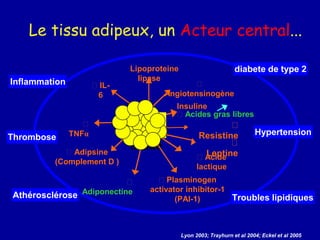 Le tissu adipeux, un Acteur central...
Adipo
se
tissue
IL-
6
Adiponectine
Leptine
TNFα
Adipsine
(Complement D )
Plasminogen
activator inhibitor-1
(PAI-1)
Resistine
Acides gras libres
Insuline
Angiotensinogène
Lipoproteine
lipase
Acide
lactique
Inflammation
diabete de type 2
Hypertension
Troubles lipidiques
Thrombose
Athérosclérose
Lyon 2003; Trayhurn et al 2004; Eckel et al 2005
 