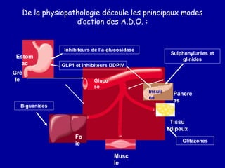 De la physiopathologie découle les principaux modes
d’action des A.D.O. :
Gluco
se
Tissu
adipeux
Grê
le
Estom
ac
Fo
ie
Sulphonylurées et
glinides
Biguanides
Musc
le
Pancre
as
Insuli
ne
Inhibiteurs de l’a-glucosidase
Glitazones
GLP1 et inhibiteurs DDPIV
 