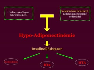 Facteurs génétiques
(chromosome 3)
Facteurs d’environnement :
Régime hyperlipidique,
sédentarité
Hypo-Adiponectinémie
InsulinoRésistance
Dyslipidémie HTA
DT2
 