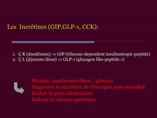 Les Incrétines (GIP,GLP-1, CCK):Les Incrétines (GIP,GLP-1, CCK):
1.1. Ç K (duodénum)Ç K (duodénum) ⇒⇒ GIP (Glucose-dependent insulinotropic peptide)GIP (Glucose-dependent insulinotropic peptide)
2.2. Ç L (jéjunum-iléon)Ç L (jéjunum-iléon) ⇒⇒ GLP-1 (glucagon like-peptide-1)GLP-1 (glucagon like-peptide-1)
Stimule insulinosécrétion / glucose
Supprime la sécrétion de Glucagon post-prandial
Réduit la prise alimentaire
Ralenti la vidange gastrique
 