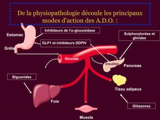 Glucose
Tissu adipeux
Grêle
Estomac
Foie
Sulphonylurées et
glinides
Biguanides
Muscle
PancreasInsuline
Inhibiteurs de l’α-glucosidase
Glitazones
GLP1 et inhibiteurs DDPIV
De la physiopathologie découle les principaux
modes d’action des A.D.O. :
 