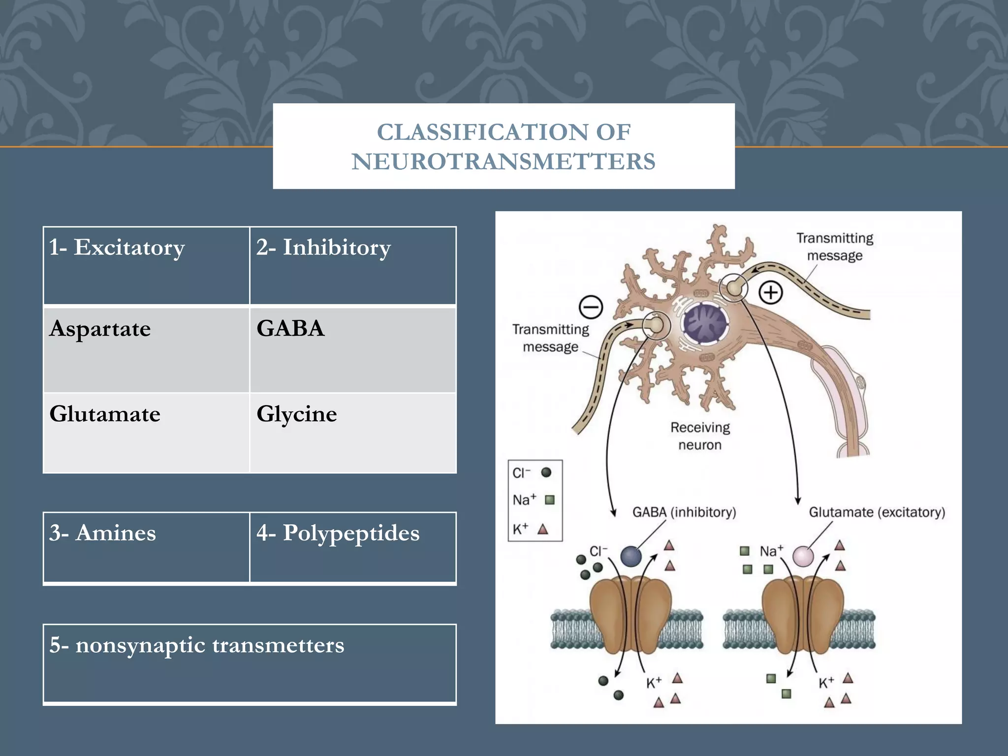 Physiopathology of epilepsy | PDF