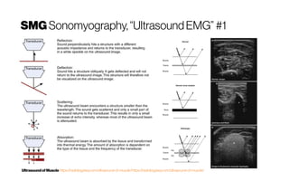 SMG Sonomyography,“UltrasoundEMG” #1
Ultrasound ofMuscle https://radiologykey.com/ultrasound-of-muscle/https://radiologykey.com/ultrasound-of-muscle/
 