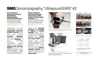 SMG Sonomyography,“UltrasoundEMG” #2
RecentProgressin
AutomaticProcessingof
SkeletalMuscle
MorphologyUsing
Ultrasound:ABrief Review
Zhou,Yongjin; Yang,Xiaojuan;
Yang,Wanzhang; Shi,Wenxiu;
Cui,Yaoyao;Chen,Xin(2018)
https://doi.org/10.2174/15734056
13666170126155934
Ultrasonography has been
widely adopted to evaluate the
morphological parameters
of different muscles in both
static and dynamic
circumstances. In recent years,
numerous algorithms,
especially automated algorithms,
have been developed to
extract morphological
parameters from
musculoskeletal ultrasound
images. It is now possible to
analyze muscle contraction
dynamics not only using
traditional techniques, such as
Mechanomyography (MMG)
and Electromyography (EMG),
butalsousing ultrasonography.
MuscleArchitecture
Assessment:Strengths,
ShortcomingsandNew
FrontiersofinVivoImaging
Techniques(2018)
MartinoV.Franchi,BrentJ.Raiteri,
StefanoLongo,ShantanuSinha,
MarcoV.Narici,RobertCsapo
https://doi.org/10.1016/j.ultrasme
dbio.2018.07.010
Skeletal muscle structural
assembly (andits remodeling
in response to loading–
unloading states) can be
investigated macroscopically by
assessing muscle architecture,
described as fascicle
geometric disposition within
the muscle. Over recent
decades, various medical
imaging techniques have been
developed to facilitate the in vivo
assessment of muscle
architecture. This review may
serve as decision guidance
facilitating selection of the
appropriate technique to be
applied in biomedical research or
clinicalroutine.
Human motionanalysiswith ultrasound and sonomyography
https://doi.org/10.1109/EMBC.2012.6347478
Electromyographyand sonomyographyanalysisof the tibialis
anterior:Acrosssectional study
http://doi.org/10.1186/1757-1146-7-11
Ultrasound-based SensingModelsforFinger
MotionClassification
https://doi.org/10.1109/JBHI.2017.2766249
 