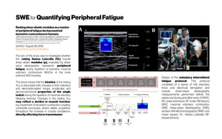 SWEfor QuantifyingPeripheralFatigue
Restingshearelasticmodulusasamarker
of peripheralfatigueduringmaximal
isometriccontractionsinhumans
JulienSiracusa,KeyneCharlot,AlexandraMalgoyre,SébastienConort,
Pierre-EmmanuelTardo-Dino,CyprienBourrilhon,SebastianGarcia-
Vicencio UnitédePhysiologiedel’Exerciceet desActivitésen ConditionsExtrêmes,Département 8
EnvironnementsOpérationnels,Institut deRechercheBiomédicaledesArmées,Brétigny-sur-Orge,
bioRxiV August28,2018
https://doi.org/10.1101/402644
The aim of this study was to investigate whether
the resting Vastus Lateralis (VL) muscle
shear elastic modulus (µ), evaluated by shear
wave elastography, represents peripheral
fatigue during repetition of isometric maximal
voluntary contractions (MVCs) of the knee
extensor(KE)muscles.
This study shows that the kinetics of the resting
VLµ is associated with changes in both voluntary
and electrostimulated torque amplitudes and
electromechanical properties of the single
twitch during the repetition of maximal voluntary
fatiguing exercise. Changes in the resting VLµ
may reflect a decline in muscle function,
e.g. impairment of excitation-contraction coupling,
contractile processes, and/or elastic properties,
throughout the increase in muscle compliance,
directlyaffectingforcetransmission.
Design of the voluntary intermittent
fatigue protocol. This protocol
consisted of a series of 146 voluntary
force and electrical stimulation and
muscle shear-wave elastography
measurements performed before the
series and during and after every 10 MVC.
KE: knee extensors; KF: knee 148 flexors;
MVC: maximal voluntary contraction;
SWE: shear-wave elastography; EMG:
surface 149 electromyography; RMS: root
mean square: VL: Vastus Lateralis; BF:
bicepsfemoris.
 