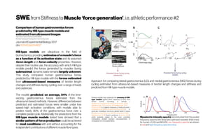 SWEfrom Stiffness to Muscle‘forcegeneration’,i.e. athletic performance #2
Comparisonofhumangastrocnemiusforces
predictedbyHill-typemusclemodelsand
estimatedfromultrasoundimages
TaylorJ.M.Dick,AndrewA.Biewener,JamesM.Wakeling
BiomedicalPhysiologyandKinesiology,Simon FraserUniversity,Canada
JournalofExperimentalBiology2017
doi:10.1242/jeb.154807
Hill-type models are ubiquitous in the field of
biomechanics, providing estimates of a muscle's force
as a function of its activation state and its assumed
force–length and force–velocity properties. However,
despite their routine use, the accuracy with which Hill-type
models predict the forces generated by muscles during
submaximal, dynamic tasks remains largely unknown.
This study compared human gastrocnemius forces
predicted by Hill-type models with the forces estimated
from ultrasound-based measures of tendon length
changes and stiffness during cycling, over a range of loads
andcadences.
The models predicted, on average, 54% of the time-
varying gastrocnemius forces estimated from the
ultrasound-based methods. However, differences between
predicted and estimated forces were smaller under low
speed–high activation conditions, with models able to
predict nearly 80% of the gastrocnemius force over a
complete pedal cycle. Additionally, the predictions from the
Hill-type muscle models tested here showed that a
similar pattern of force production could be achieved
for most conditions with and without accounting for the
independentcontributionsofdifferentmusclefibretypes.
Approach for comparing lateral gastrocnemius (LG) and medial gastrocnemius (MG) forces during
cycling estimated from ultrasound-based measures of tendon length changes and stiffness and
predictedfromHill-typemusclemodels.
Myoelectric intensity spectra reconstructed from the pooled
frequency spectra (thin lines) and optimized wavelets (thick lines)
for human LG (A) and MG (B). Low -frequency spectra are shown
in red and high-frequencyspectrain blue.
Previous studies have assessed the accuracy of Hill-
type models against direct measures of force from
tendon buckle recordings in animals (
Sandercock and Heckman, 1997; Perreault etal., 2003; 
Wakeling etal., 2012; Leeet al., 2013; Millard etal., 2013; 
Kimet al., 2015) or against measures of heat and work (
Umbergeret al., 2003; Lichtwark and Wilson, 2005). In
particular, modelling in situ forces yielded higher r2 values
(Sandercock and Heckman, 1997; Perreaultet al., 2003; 
Wakeling etal., 2012) than in vivoforces (Lee etal., 2013),
which probably relates to the more controlled
contractions studied during in situ experiments in
comparisonto in vivo experiments.
 