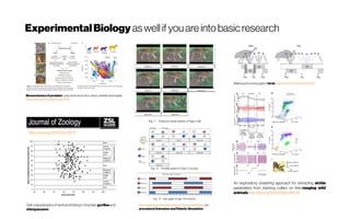 ExperimentalBiology aswellif youare intobasicresearch
Walking and runninggaitsin birds. http://doi.org/10.1242/jeb.152538
Biomechanicsofpredator–preyarmsracein lion, zebra, cheetahand impala
https://doi.org/10.1038/nature25479
An exploratory clustering approach for extracting stride
parameters from tracking collars on free-ranging wild
animalshttp://doi.org/10.1242/jeb.146035
procedural Animation andRoboticSimulation
Gait characteristicsof vertical climbingin mountain gorillas and
chimpanzees
https://doi.org/10.1111/jzo.12577
 