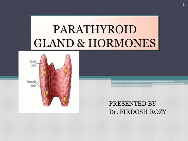 PARATHYROID GLAND & ITS HORMONES