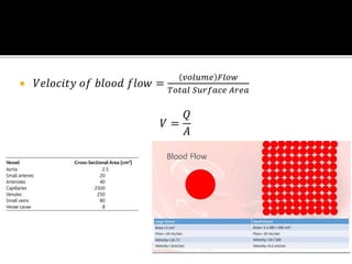  𝑉𝑒𝑙𝑜𝑐𝑖𝑡𝑦 𝑜𝑓 𝑏𝑙𝑜𝑜𝑑 𝑓𝑙𝑜𝑤 =
𝑣𝑜𝑙𝑢𝑚𝑒 𝐹𝑙𝑜𝑤
𝑇𝑜𝑡𝑎𝑙 𝑆𝑢𝑟𝑓𝑎𝑐𝑒 𝐴𝑟𝑒𝑎
𝑉 =
𝑄
𝐴
 