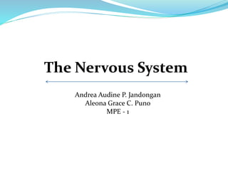The Nervous System
Andrea Audine P. Jandongan
Aleona Grace C. Puno
MPE - 1
 