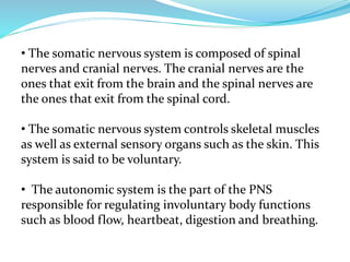 • The somatic nervous system is composed of spinal
nerves and cranial nerves. The cranial nerves are the
ones that exit from the brain and the spinal nerves are
the ones that exit from the spinal cord.
• The somatic nervous system controls skeletal muscles
as well as external sensory organs such as the skin. This
system is said to be voluntary.
• The autonomic system is the part of the PNS
responsible for regulating involuntary body functions
such as blood flow, heartbeat, digestion and breathing.
 