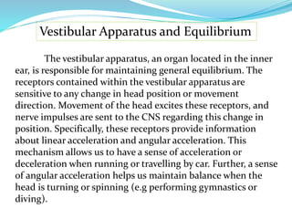 Vestibular Apparatus and Equilibrium
The vestibular apparatus, an organ located in the inner
ear, is responsible for maintaining general equilibrium. The
receptors contained within the vestibular apparatus are
sensitive to any change in head position or movement
direction. Movement of the head excites these receptors, and
nerve impulses are sent to the CNS regarding this change in
position. Specifically, these receptors provide information
about linear acceleration and angular acceleration. This
mechanism allows us to have a sense of acceleration or
deceleration when running or travelling by car. Further, a sense
of angular acceleration helps us maintain balance when the
head is turning or spinning (e.g performing gymnastics or
diving).
 