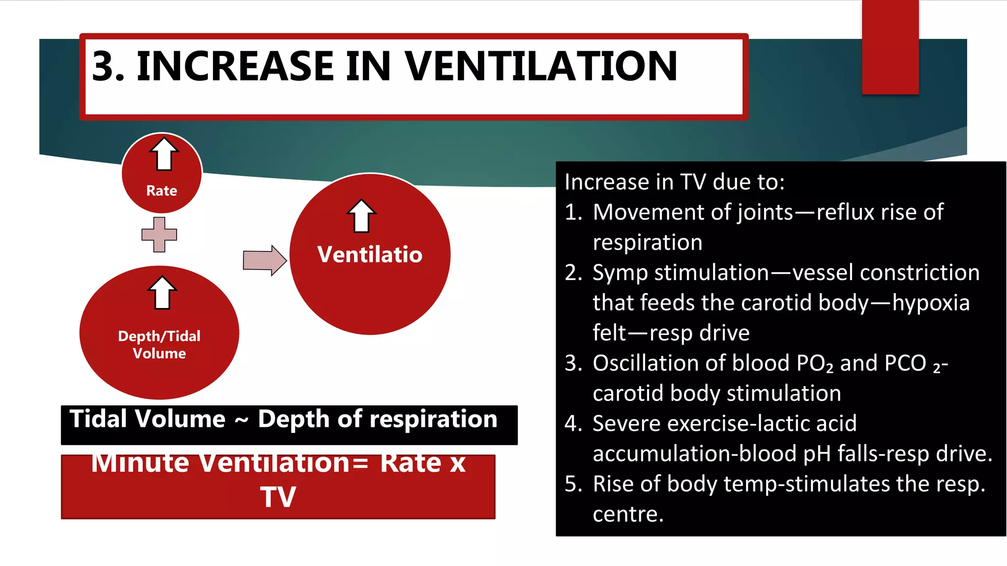 Cardio-Pulmonary Changes during Exercise | PPTX