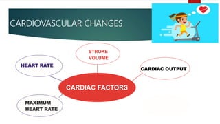 CARDIOVASCULAR CHANGES
CARDIAC FACTORS
STROKE
VOLUME
HEART RATE
MAXIMUM
HEART RATE
CARDIAC OUTPUT
 