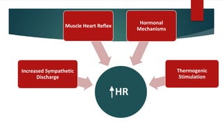 HR
Increased Sympathetic
Discharge
Muscle Heart Reflex
Hormonal
Mechanisms
Thermogenic
Stimulation
 
