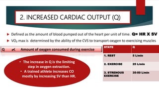  Defined as the amount of blood pumped out of the heart per unit of time. Q= HR X SV
 VO₂ max is determined by the ability of the CVS to transport oxygen to exercising muscles
2. INCREASED CARDIAC OUTPUT (Q)
Q Amount of oxygen consumed during exercise
STATE Q
1. REST 5 L/min
2. EXERCISE 25 L/min
3. STRENOUS
EXERCISE
35-50 L/min
• The increase in Q is the limiting
step in oxygen extraction.
• A trained athlete increases CO
mostly by increasing SV than HR.
 