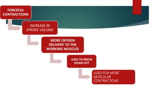 FORCEFUL
CONTRACTIONS
INCREASE IN
STROKE VOLUME
MORE OXYGEN
DELIVERY TO THE
WORKING MUSCLES
USED TO BREAK
DOWN ATP
USED FOR MORE
MUSCULAR
CONTRACTIONS
 