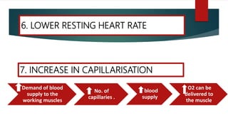 6. LOWER RESTING HEART RATE
Demand of blood
supply to the
working muscles
No. of
capillaries .
blood
supply
O2 can be
delivered to
the muscle
7. INCREASE IN CAPILLARISATION
 