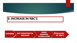 HYPOXIA ERYTHROPOEITIN
RELEASE
BONE
MARROW
STIMULATED
RELEASE
OF RBC’s
8. INCREASE IN RBC’S
 