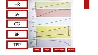 DEGREE
REST MILD MODERATE SEVERE
HR
CO
BP
TPR
SV
 