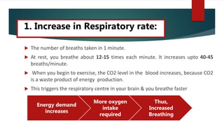  The number of breaths taken in 1 minute.
 At rest, you breathe about 12-15 times each minute. It increases upto 40-45
breaths/minute.
 When you begin to exercise, the CO2 level in the blood increases, because CO2
is a waste product of energy production.
 This triggers the respiratory centre in your brain & you breathe faster
Energy demand
increases
More oxygen
intake
required
Thus,
Increased
Breathing
1. Increase in Respiratory rate:
 