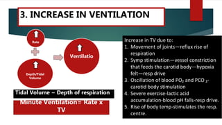 Rate
Depth/Tidal
Volume
Ventilatio
Increase in TV due to:
1. Movement of joints—reflux rise of
respiration
2. Symp stimulation—vessel constriction
that feeds the carotid body—hypoxia
felt—resp drive
3. Oscillation of blood PO₂ and PCO ₂-
carotid body stimulation
4. Severe exercise-lactic acid
accumulation-blood pH falls-resp drive.
5. Rise of body temp-stimulates the resp.
centre.
Tidal Volume ~ Depth of respiration
Minute Ventilation= Rate x
TV
3. INCREASE IN VENTILATION
 