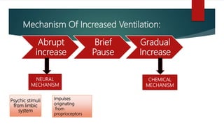 Mechanism Of Increased Ventilation:
Abrupt
increase
Brief
Pause
Gradual
Increase
NEURAL
MECHANISM
CHEMICAL
MECHANISM
Psychic stimuli
from limbic
system
Impulses
originating
from
proprioceptors
 