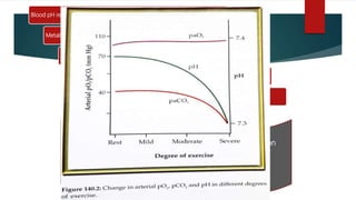 Blood pH reduces
Metabolic Acidosis
Supralinear Stimulation of Ventilation
Ventilation stimulated (activation of peripheral chemoreceptors in
carotid and aortic bodies)
pCO₂ falls significantly
 Decline in arterial pCO₂ induced by excessive ventilation
becomes the physiological mechanism for respiratory
compensation of metabolic acidosis.
 