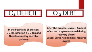 O₂ DEFICIT O ₂ DEBT
In the beginning of exercise,
O ₂ consumption < O ₂ demand
Therefore met by anerobic
pathway
After the exercise(severe), Amount
of excess oxygen consumed during
recovery phase.
Cause: Lactic Acid removal requires
oxygen
 