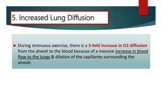  During strenuous exercise, there is a 3-fold increase in O2 diffusion
from the alveoli to the blood because of a massive increase in blood
flow to the lungs & dilation of the capillaries surrounding the
alveoli.
5. Increased Lung Diffusion
 