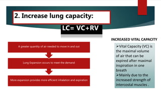2. Increase lung capacity:
More expansion provides more efficient inhalation and expiration
Lung Expansion occurs to meet the demand
A greater quantity of air needed to move in and out
LC= VC+RV
Vital Capacity (VC) is
the maximal volume
of air that can be
expired after maximal
inspiration in one
breath
Mainly due to the
increased strength of
intercostal muscles .
INCREASED VITAL CAPACITY
 