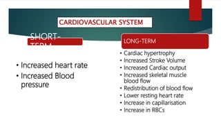 CARDIOVASCULAR SYSTEM
SHORT-
TERM
• Increased heart rate
• Increased Blood
pressure
LONG-TERM
• Cardiac hypertrophy
• Increased Stroke Volume
• Increased Cardiac output
• Increased skeletal muscle
blood flow
• Redistribution of blood flow
• Lower resting heart rate
• Increase in capillarisation
• Increase in RBCs
 