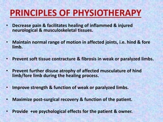 PRINCIPLES OF PHYSIOTHERAPY 
• Decrease pain & facilitates healing of inflammed & injured 
neurological & musculoskeletal tissues. 
• Maintain normal range of motion in affected joints, i.e. hind & fore 
limb. 
• Prevent soft tissue contracture & fibrosis in weak or paralyzed limbs. 
• Prevent further disuse atrophy of affected musculature of hind 
limb/fore limb during the healing process. 
• Improve strength & function of weak or paralyzed limbs. 
• Maximize post-surgical recovery & function of the patient. 
• Provide +ve psychological effects for the patient & owner. 
 