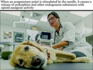 When an acupuncture point is stimulated by the needle, it causes a
release of endorphins and other endogenous substances with
opioid analgesic activity
 
