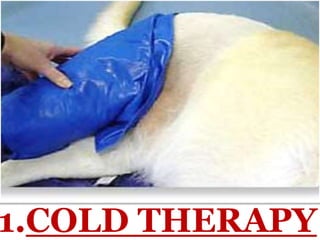 1.COLD THERAPY
 