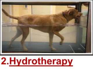 2.Hydrotherapy
 