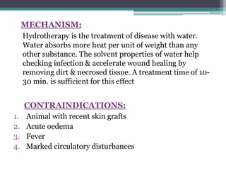 MECHANISM:
Hydrotherapy is the treatment of disease with water.
Water absorbs more heat per unit of weight than any
other substance. The solvent properties of water help
checking infection & accelerate wound healing by
removing dirt & necrosed tissue. A treatment time of 10-
30 min. is sufficient for this effect
CONTRAINDICATIONS:
1. Animal with recent skin grafts
2. Acute oedema
3. Fever
4. Marked circulatory disturbances
 